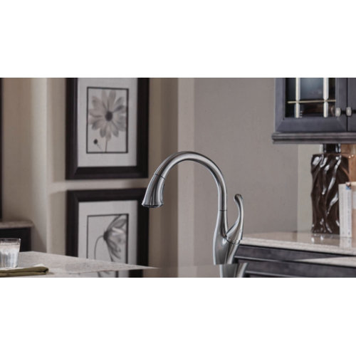 9192RBDST,CZDST,ARDST Delta Addison Pull Down Single Handle Kitchen